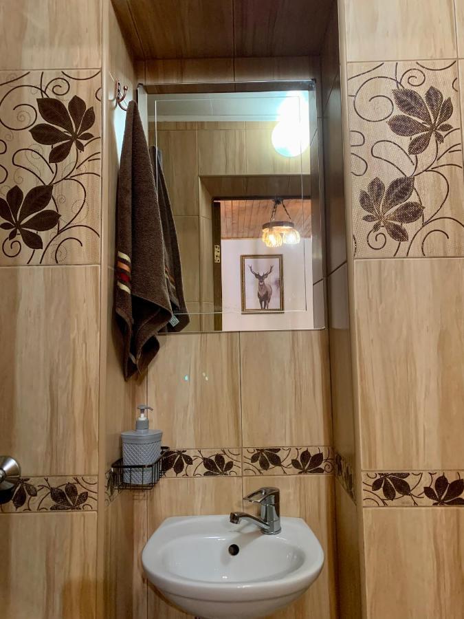 ホテル Ніч Над Карпатами スラブスク エクステリア 写真