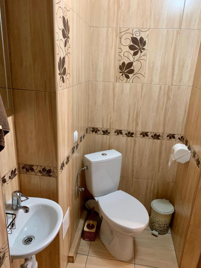ホテル Ніч Над Карпатами スラブスク エクステリア 写真